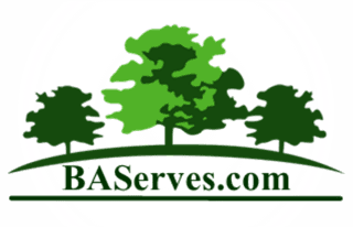 BA Services