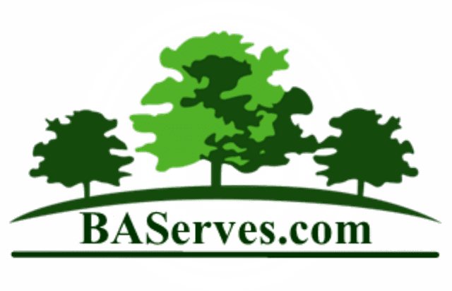 BA Services